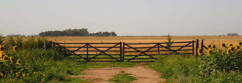 Santa Rosa | Santa Rosa- La Pampa